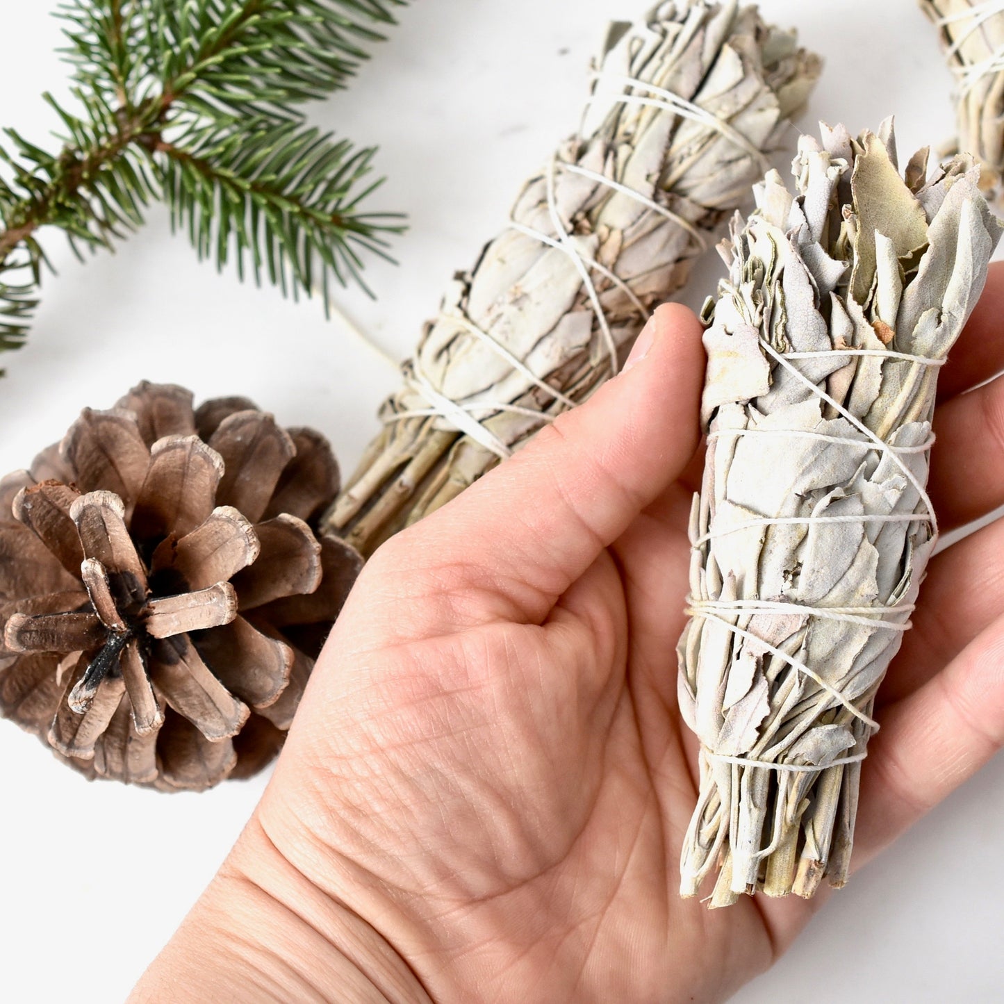 White Sage Smudge Stick Bundle